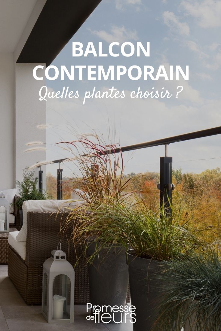 Balkon im zeitgenössischen Stil: Welche Pflanzen wählen?