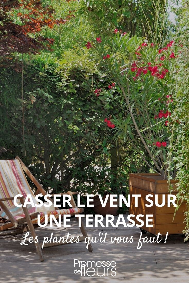 den Wind auf einer Terrasse brechen