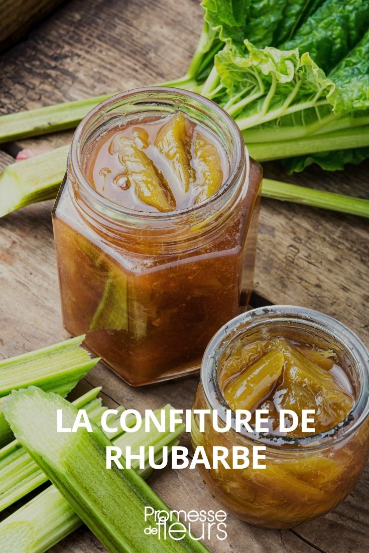 Rhabarbermarmelade