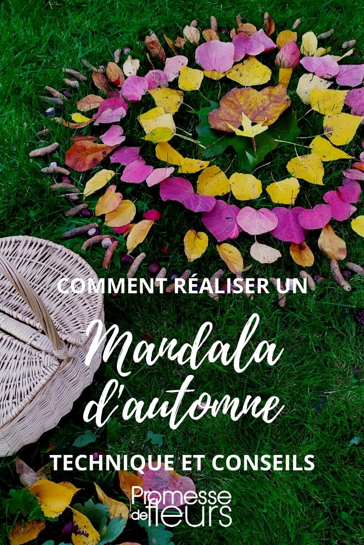 Herbst-Mandala-Anleitung
