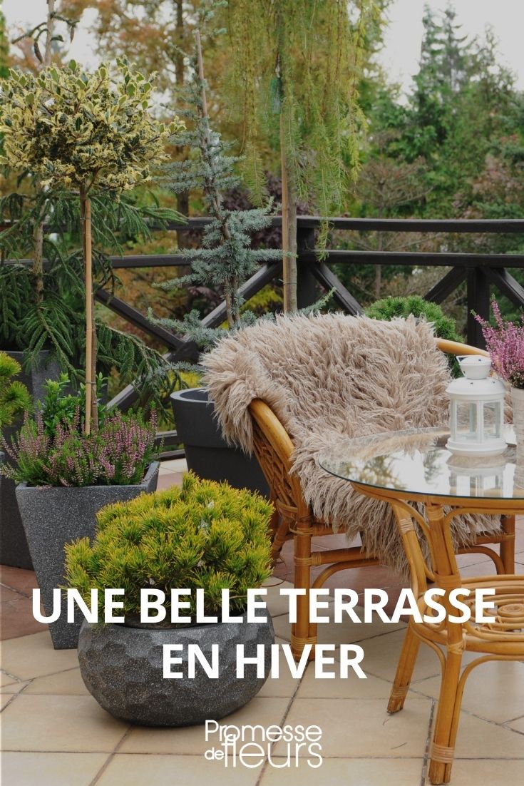schöne Terrasse im Winter, blühende Terrasse im Winter, Terrasse im Winter gestalten