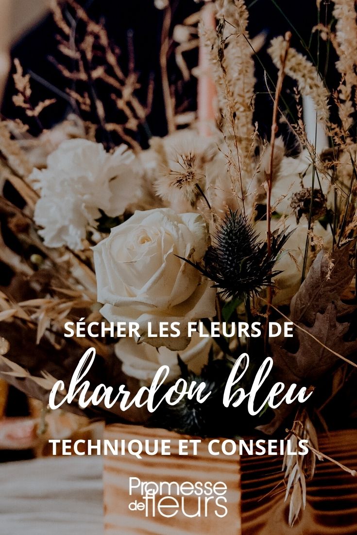 Trocknen von blauen Distelblüten – Anleitung