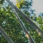 Holzbambus