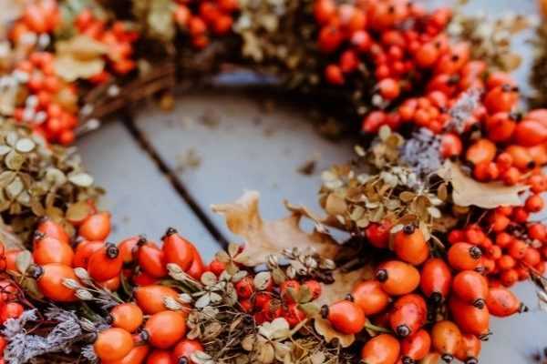 Einen Weihnachtskranz mit Hagebutten basteln