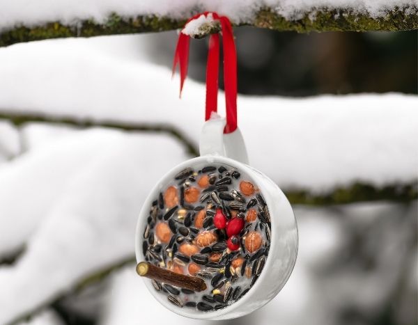 Futterspender aus Samen für Wintervögel basteln