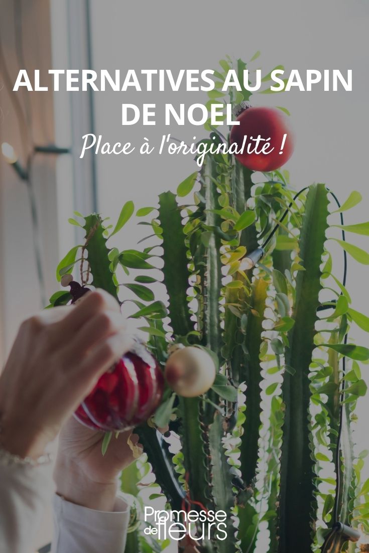 Alternativen zum Weihnachtsbaum