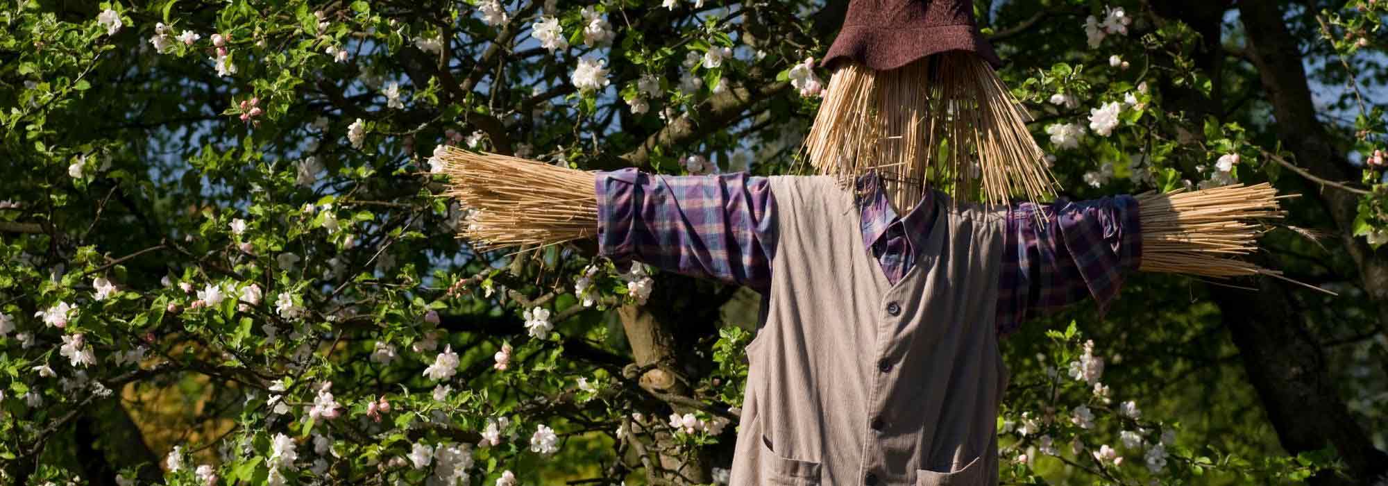 Einen Landgarten gestalten