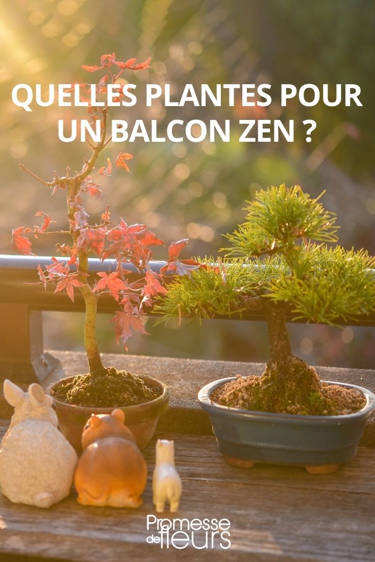 Welche Pflanzen für einen Zen-Balkon?