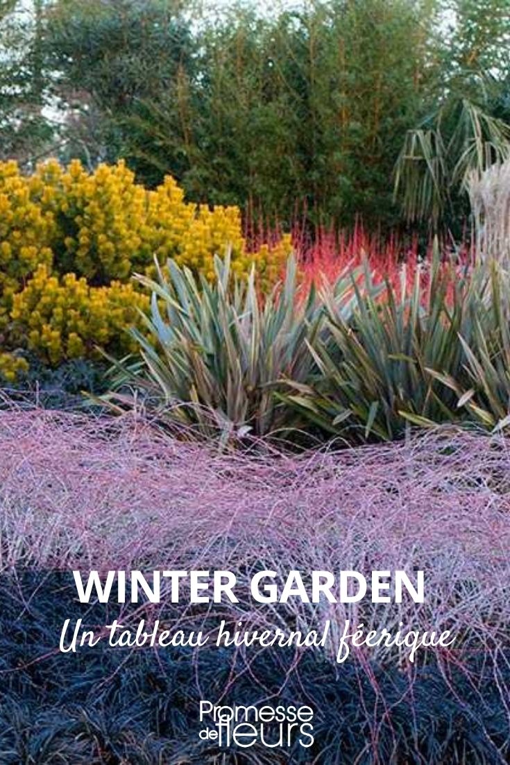 Wintergarten, Jardin d'hiver