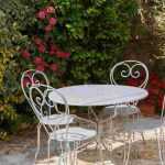 6 Pflanzen für einen Sichtschutz auf der Terrasse
