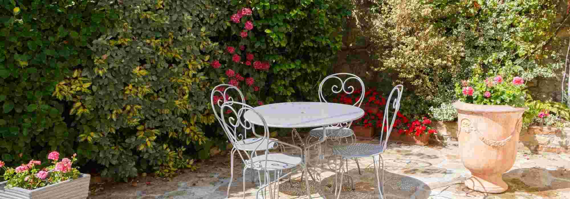 6 Pflanzen für einen Sichtschutz auf der Terrasse