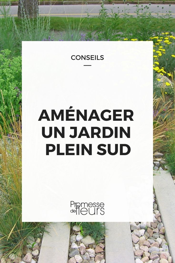 Garten gestalten in Südlage