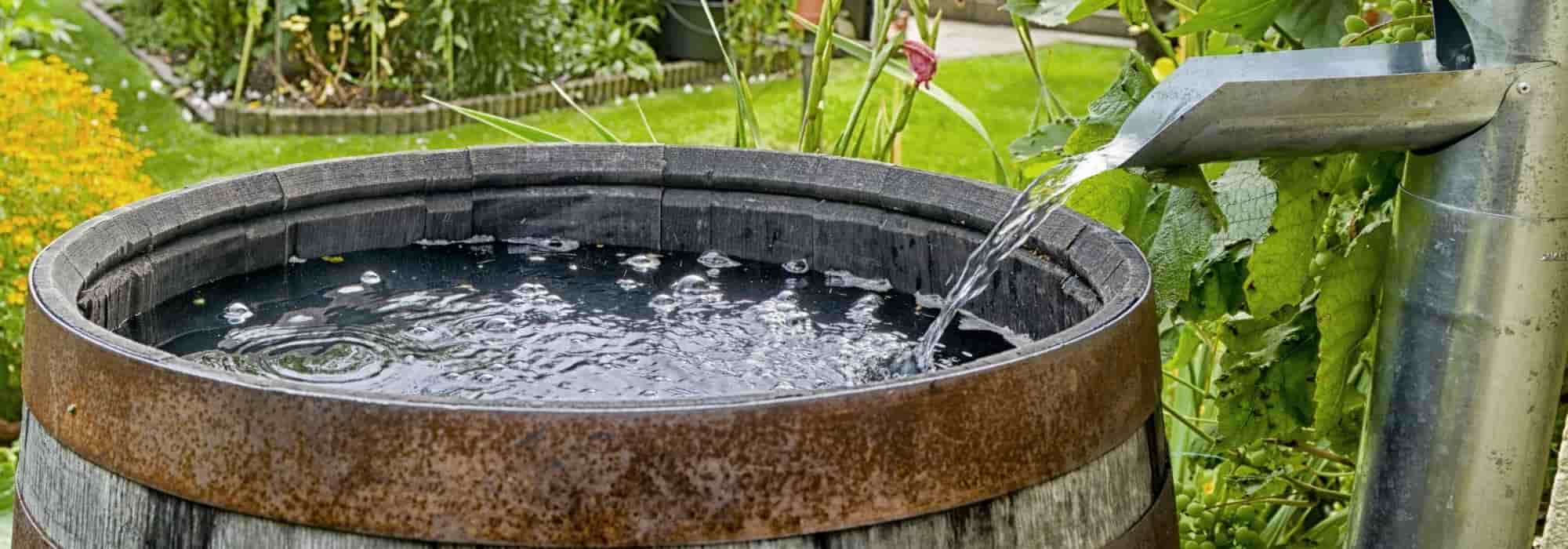 Regenwasser auffangen