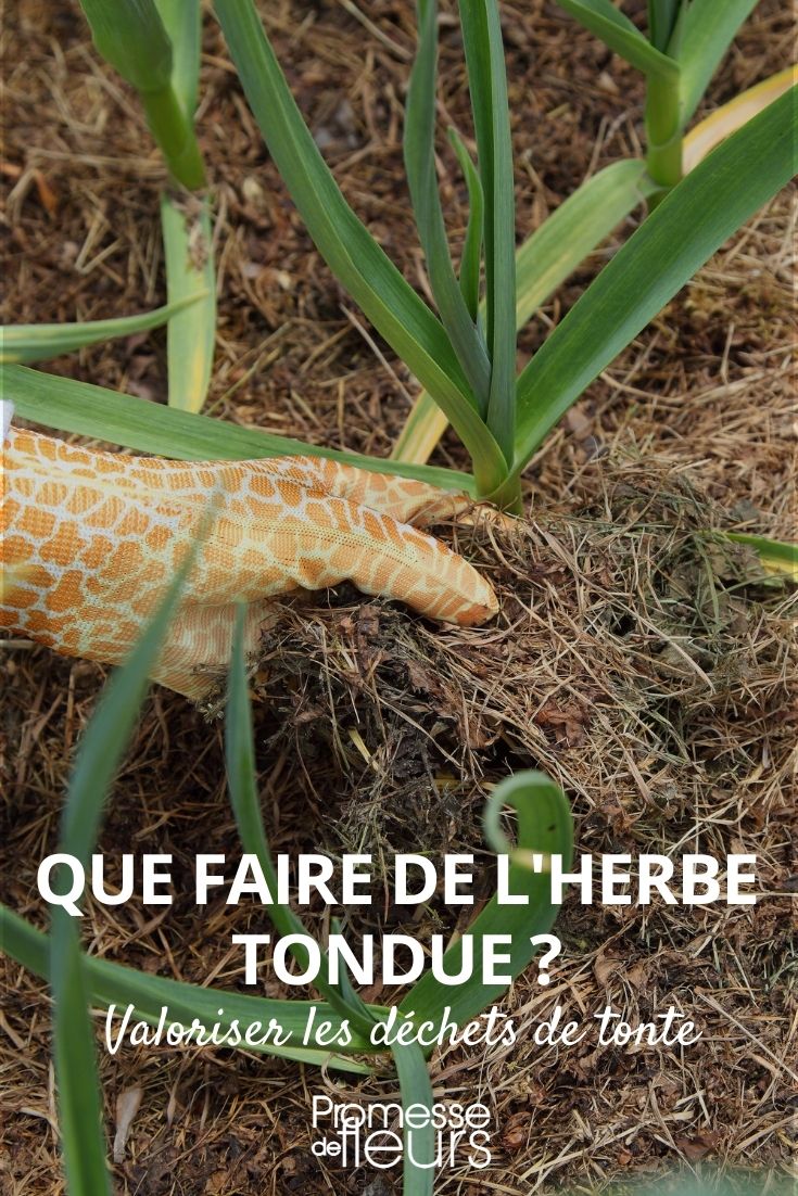 Was tun mit dem gemähten Gras?