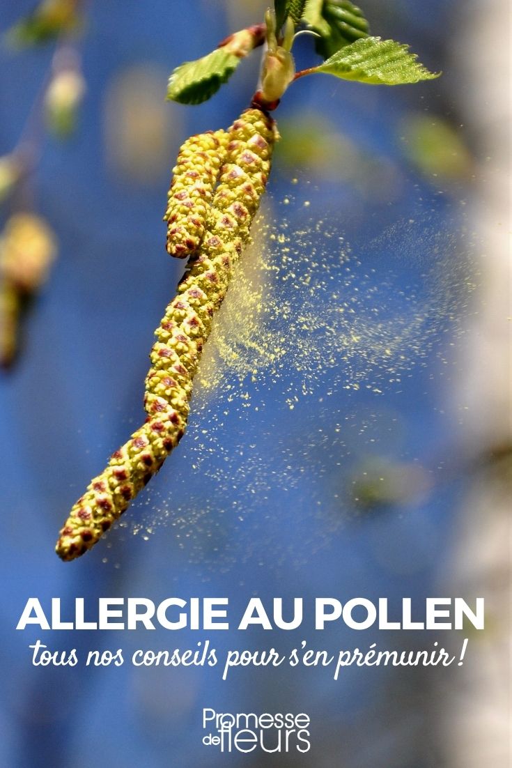 Pollenallergien durch Pflanzen und Bäume