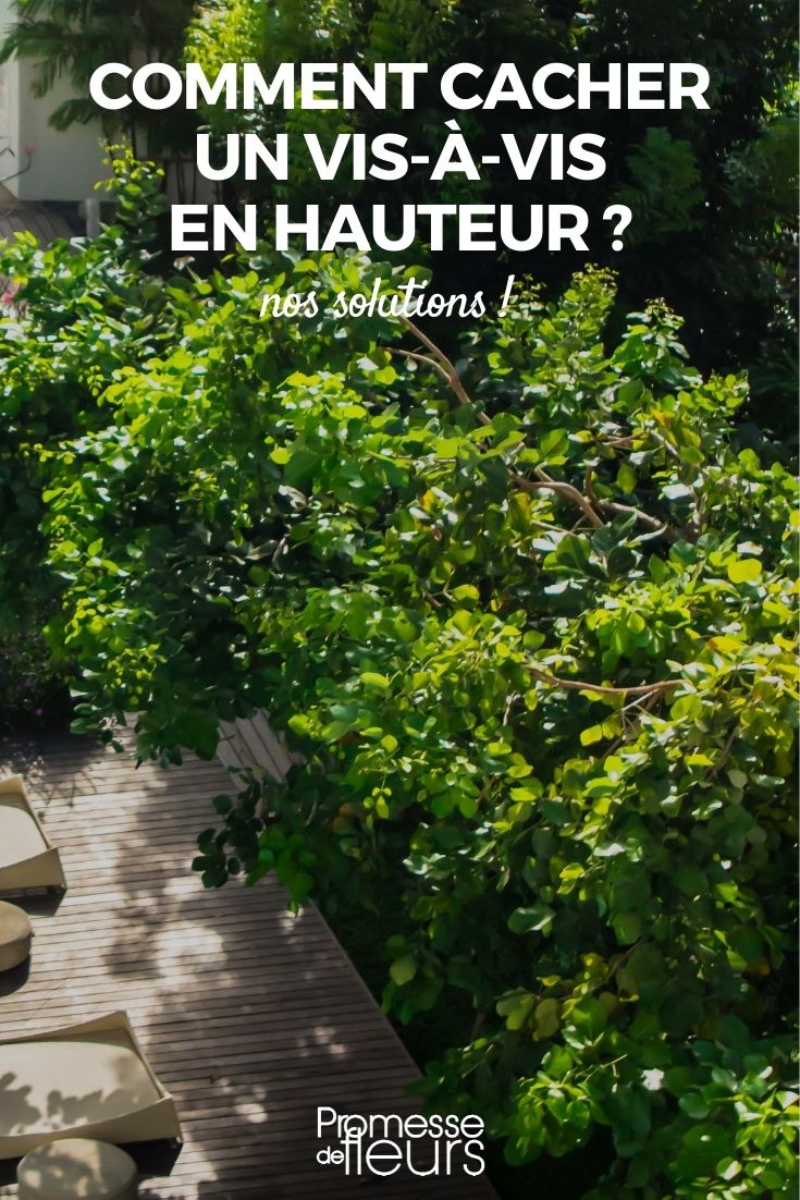 Sichtschutz für Garten und Terrasse