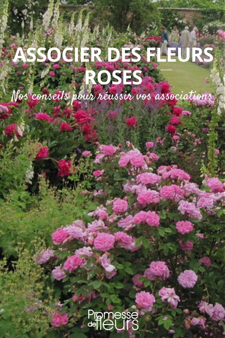 Rosa Blüten kombinieren