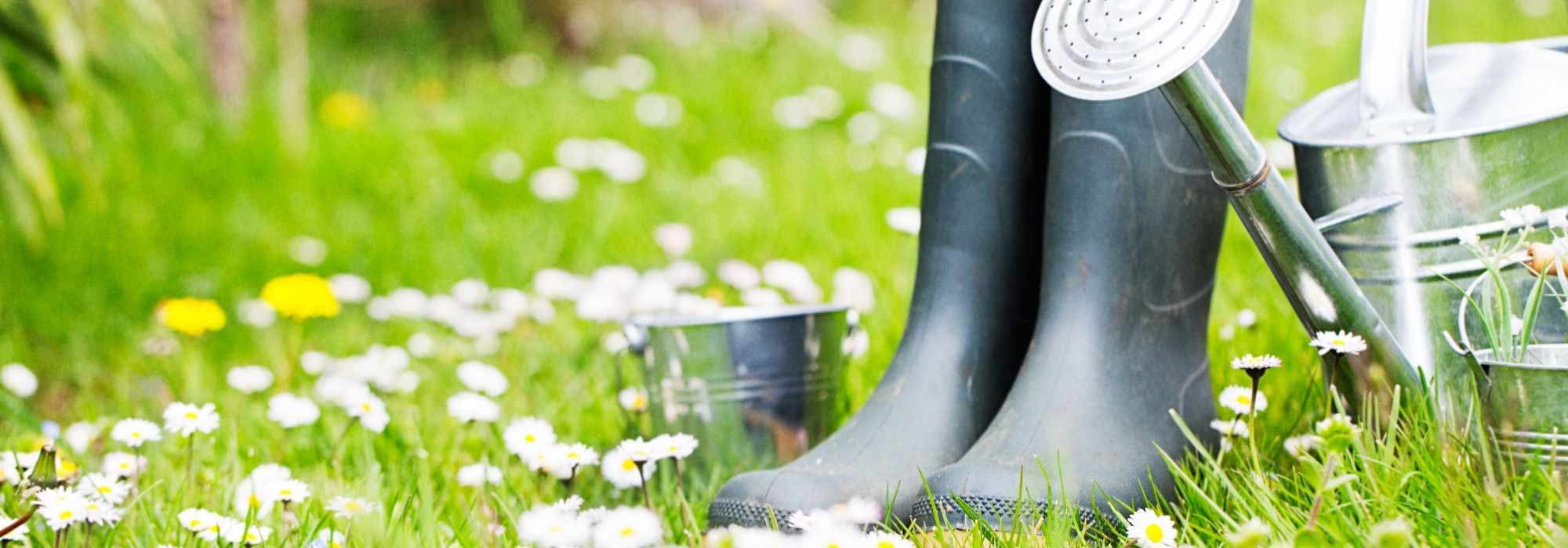 Was ist im März im Garten zu tun?