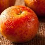 Pluot: Pflanzung, Pflege, Ernte