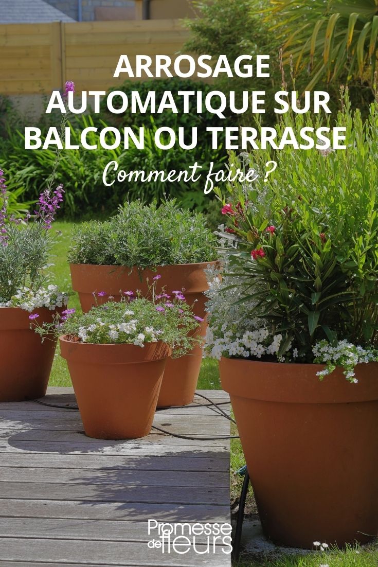Tropfbewässerung für Balkon und Terrasse