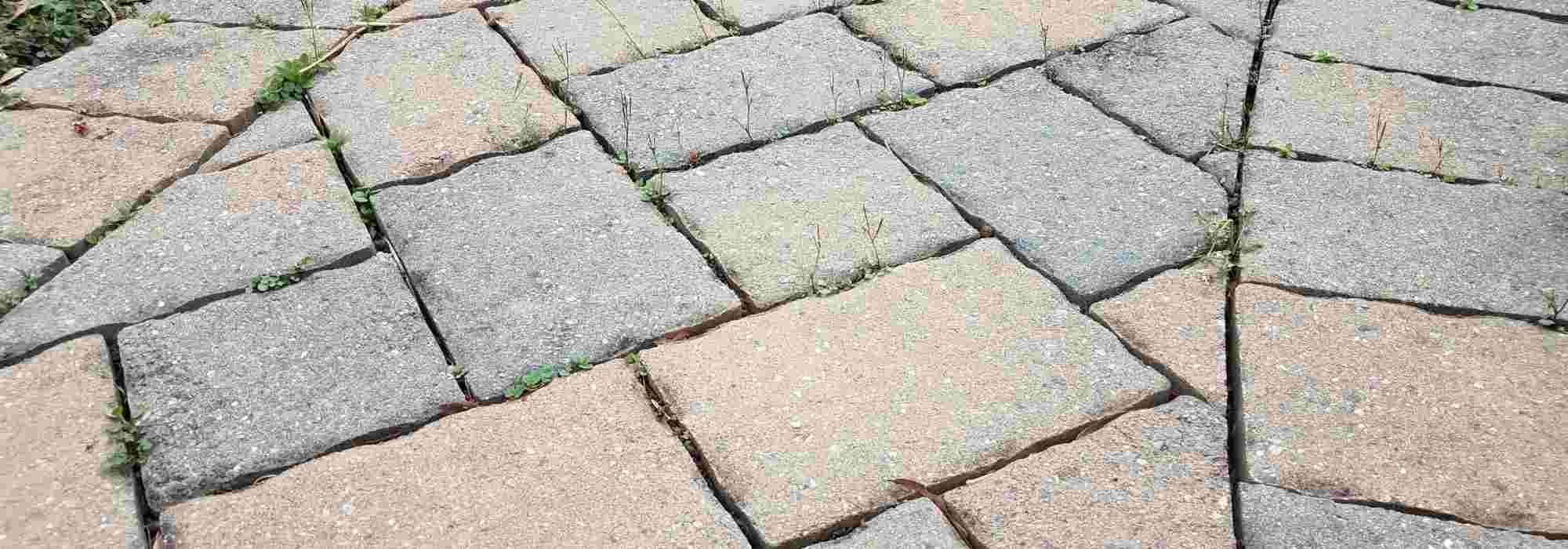 Unkrautfreier Weg: Wie geht das?
