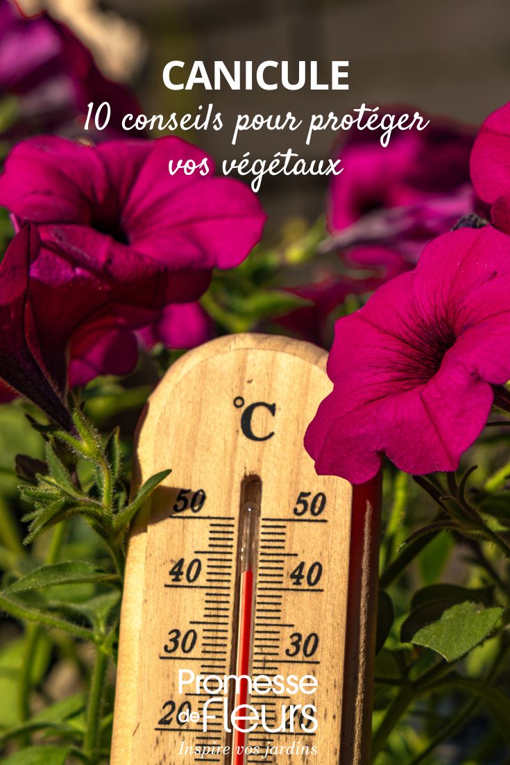 Garten vor Hitze schützen