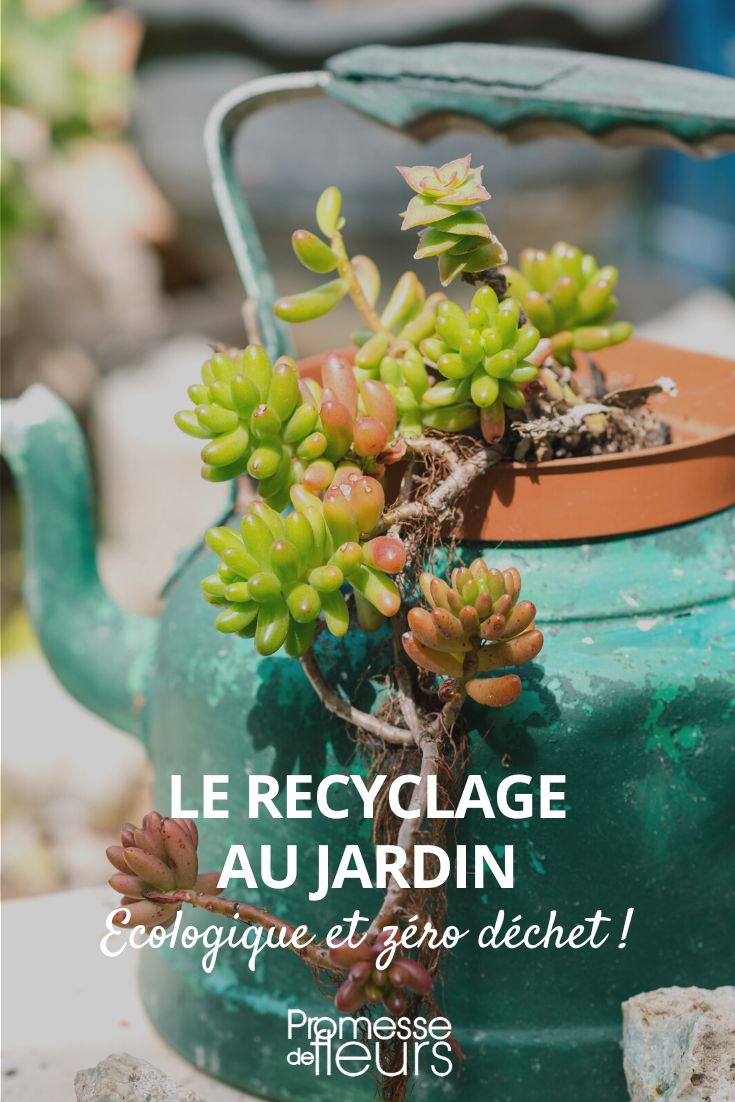 Upcycling im Garten: Ökologisch und abfallfrei