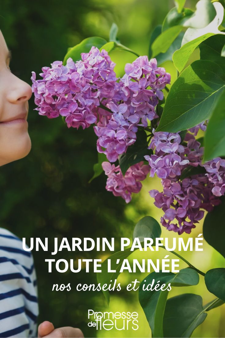 Welche duftenden Pflanzen für den Garten im Laufe der Jahreszeiten