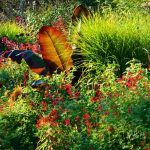 8 Tipps vom Landschaftsgärtner für einen roten Garten