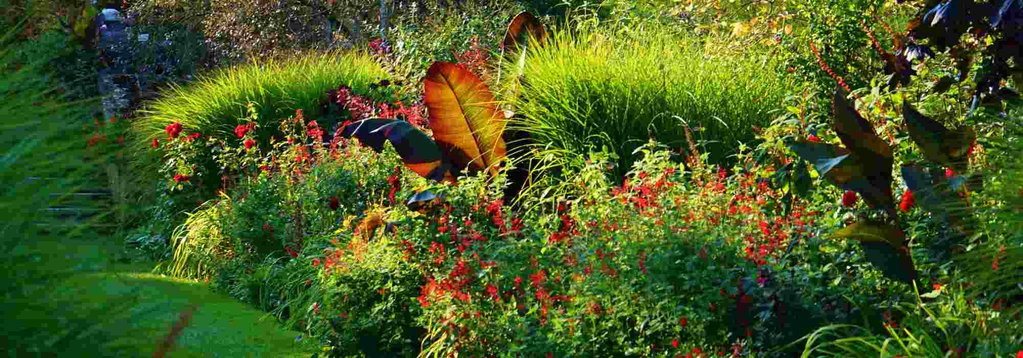 8 Tipps vom Landschaftsgärtner für einen roten Garten