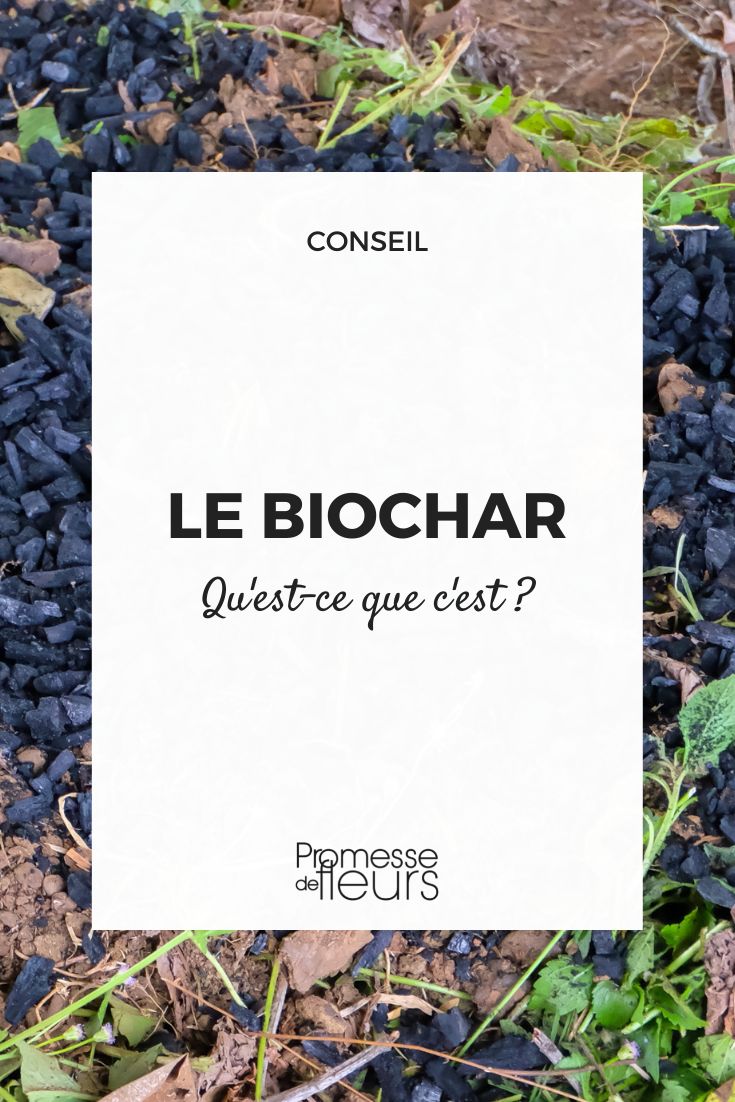 Biochar im Garten verwenden