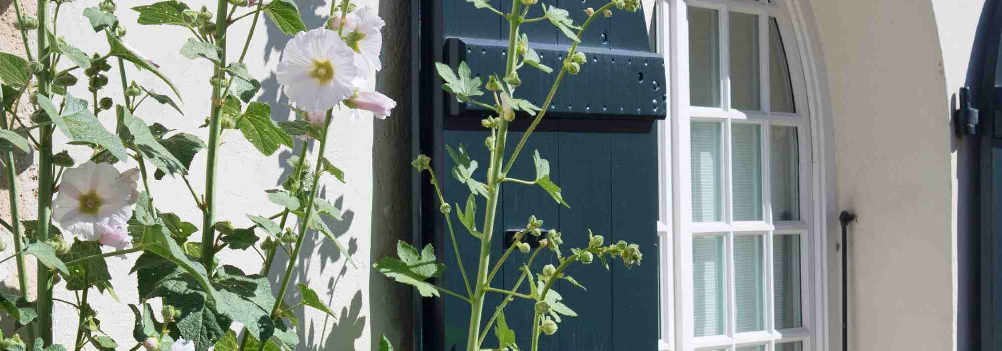 Garten am Zweitwohnsitz gestalten