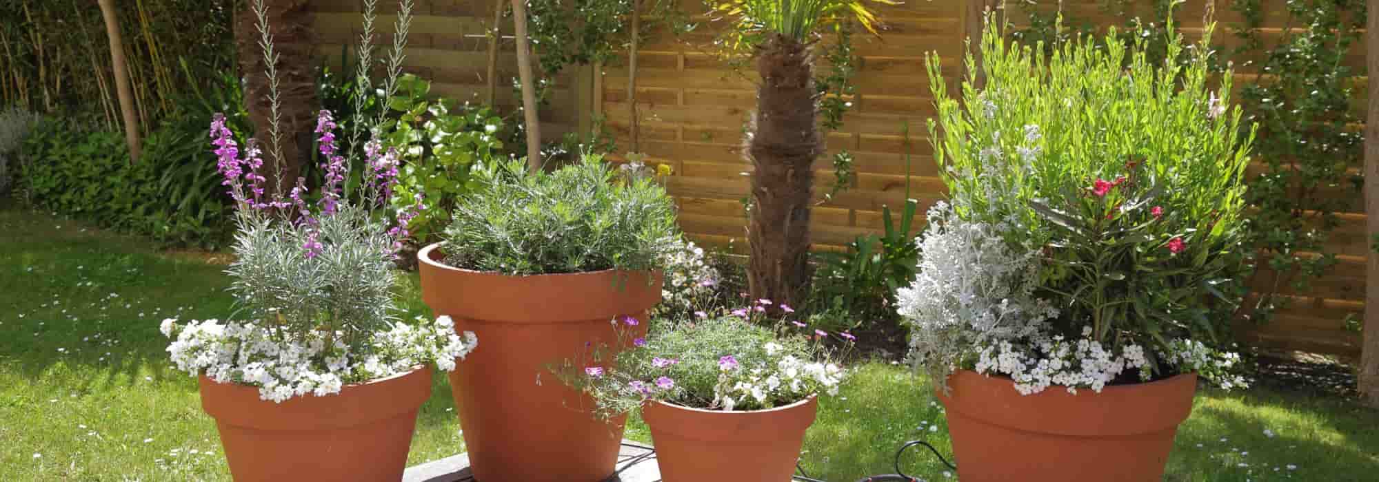 Töpfe auf der Terrasse anordnen?
