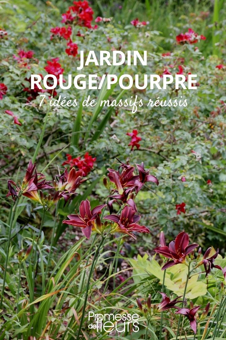 Roter purpurner Garten – Tipps und Ideen