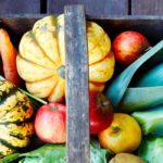 Gartenkalender – Oktober
