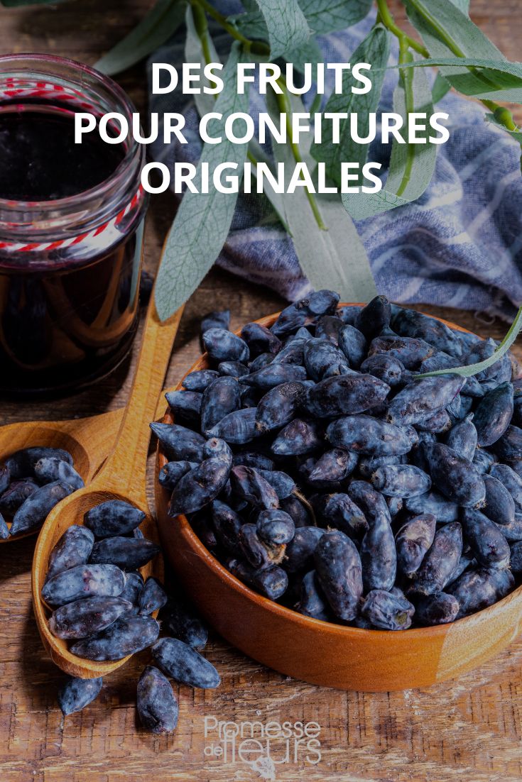 originelle Fruchtkonfitüren und Gelees