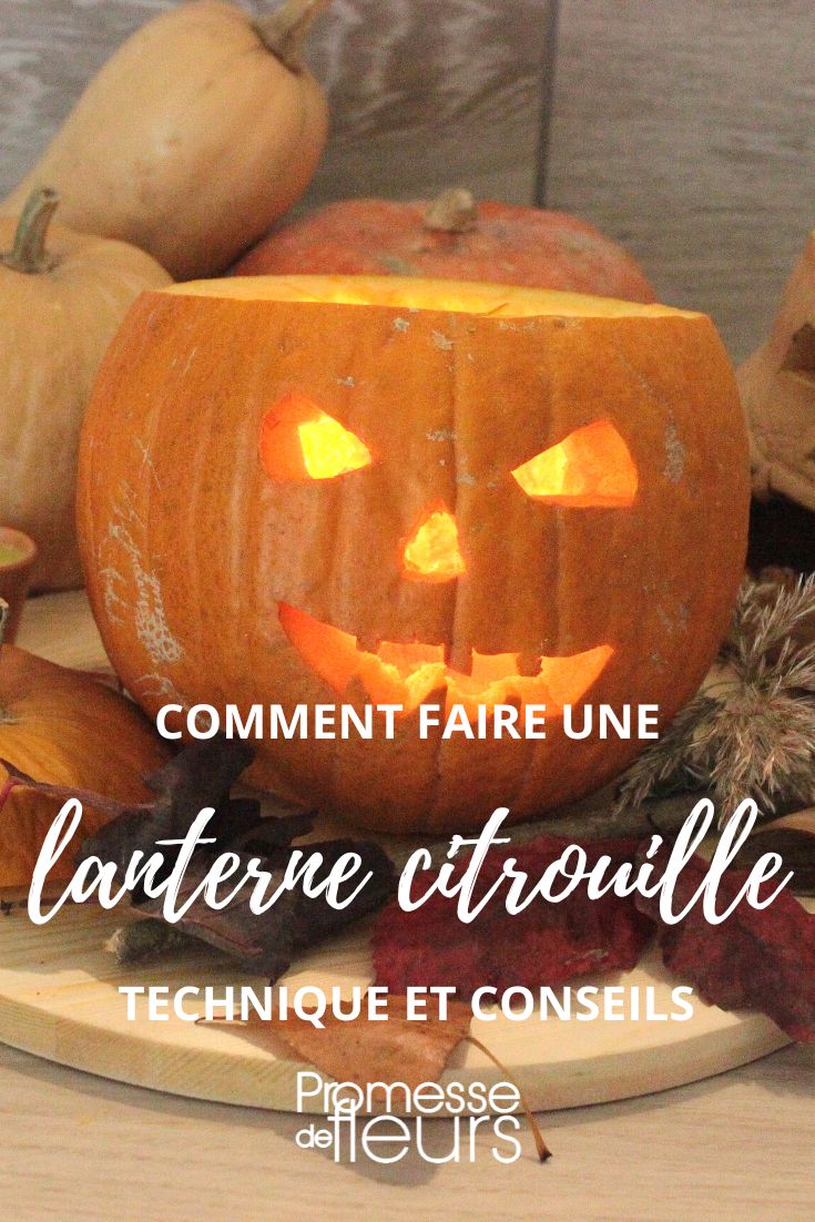 Eine Kürbislaterne für Halloween basteln