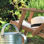 Gärtnern bei Hitze: 8 Tipps
