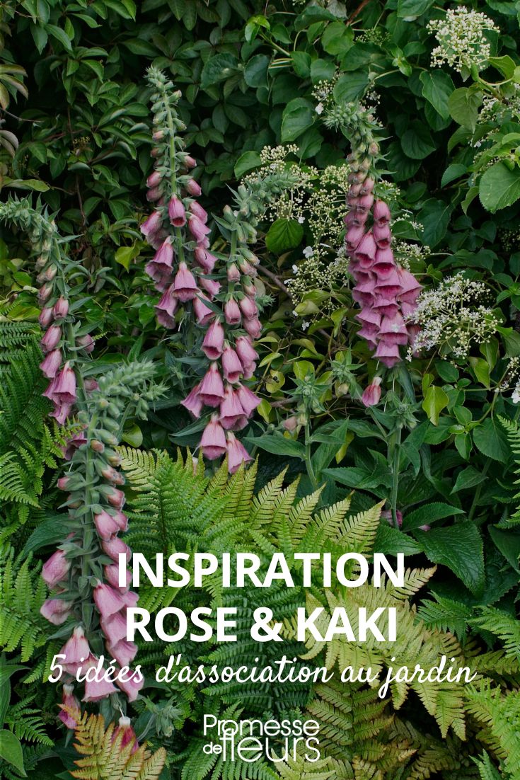 Trend und Inspiration Khaki-Rosa