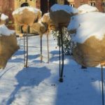 Garten vor Frost schützen mit einfachen Mitteln