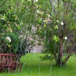 Starkregen: Tipps zum Schutz des Gartens
