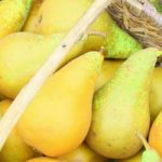 5 späte Birnensorten