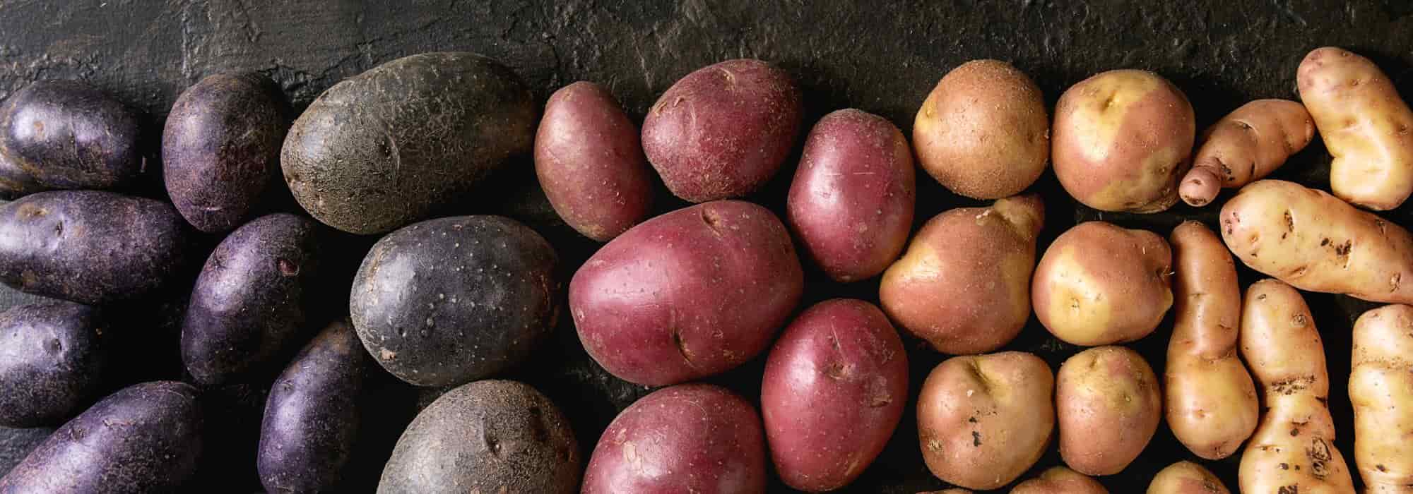 Originelle, bunte Kartoffeln