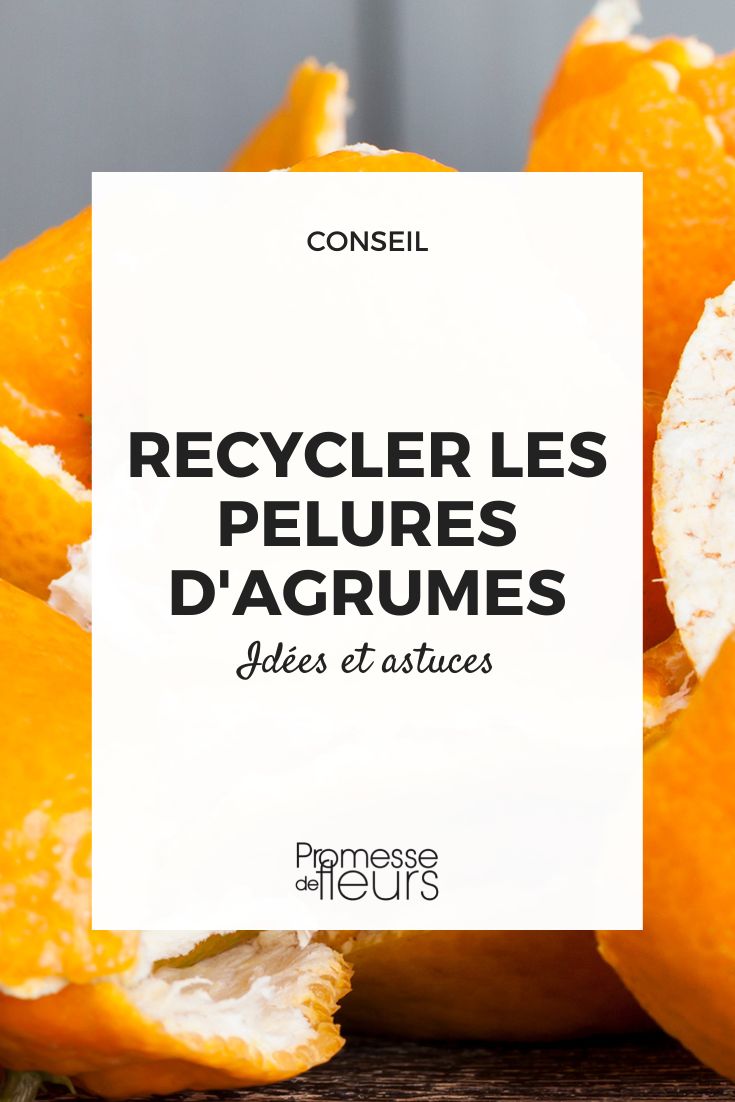 Zitrusschalen recyceln