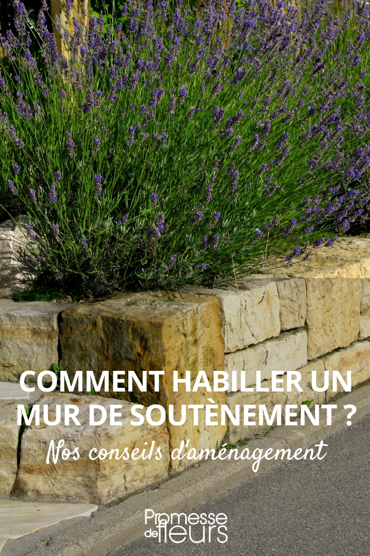 Eine Mauer im Garten begrünen