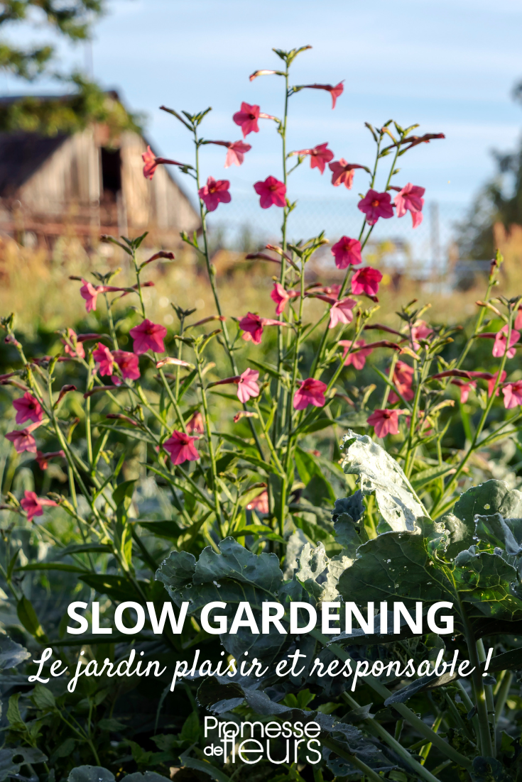 Slow Gardening – Natürliches Gärtnern