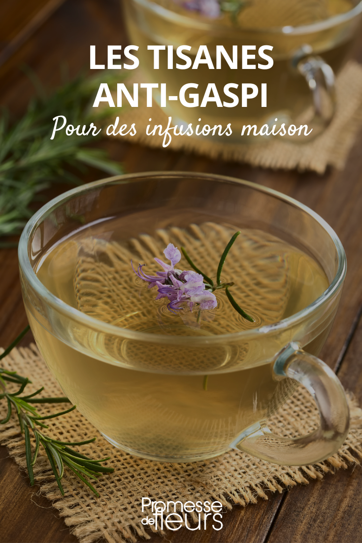 Hausgemachte Kräutertee-Rezept