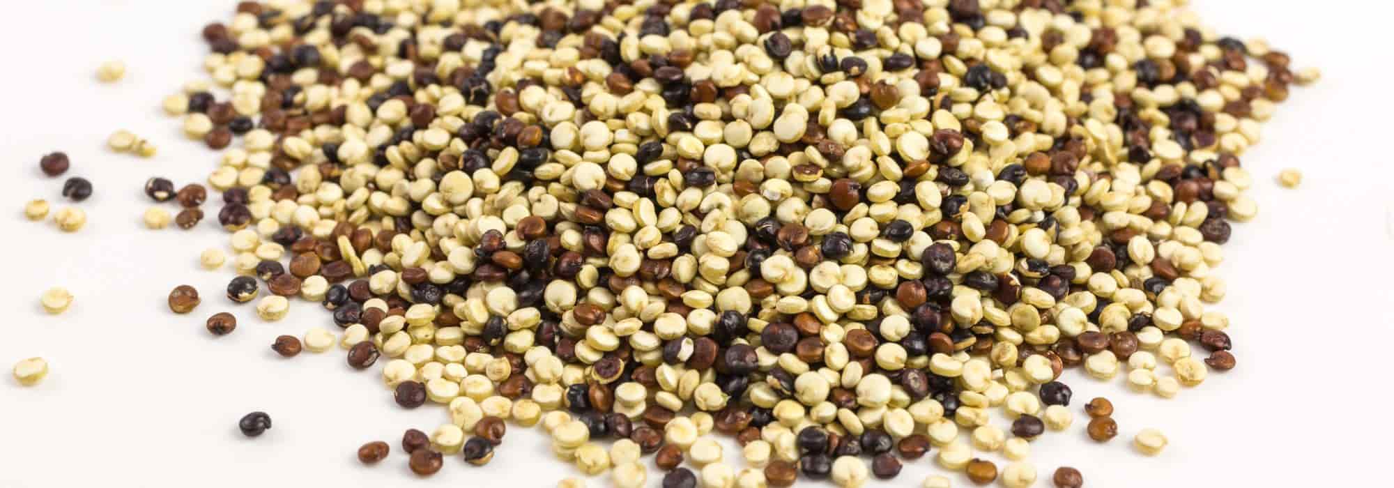 Quinoa im Garten anbauen