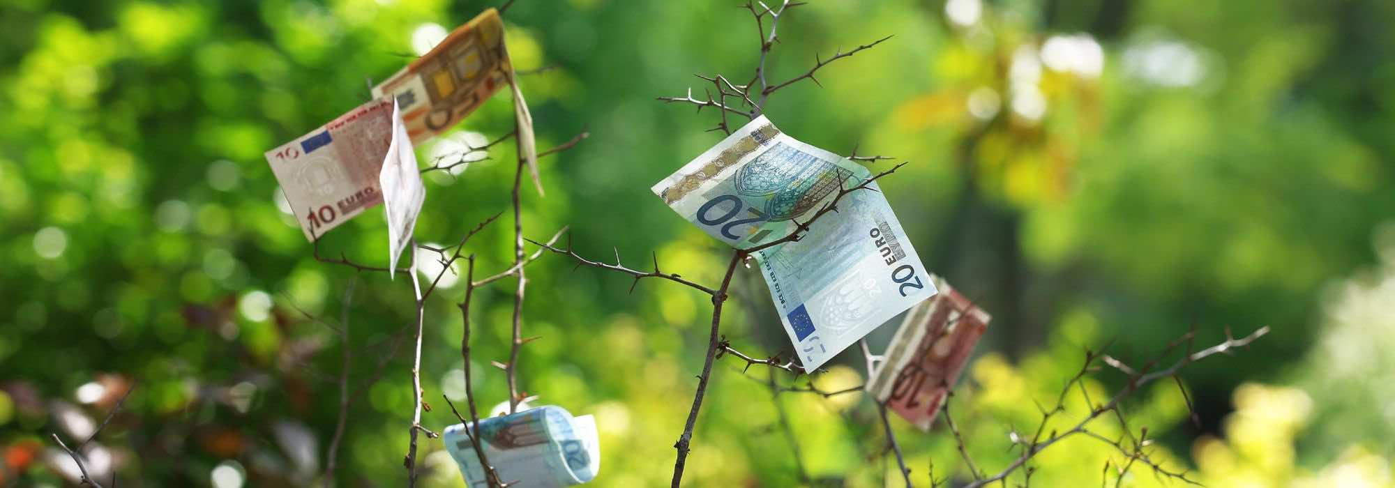 Garten günstig gestalten