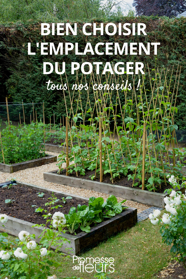 Den Gemüsegarten optimal anlegen